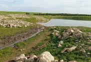 صورة: أرشيف