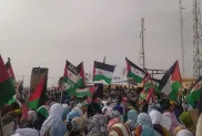 ح.م