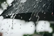 الصورة: ح. م