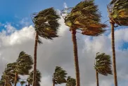 الصورة: م.ح