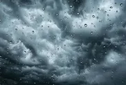 الصورة: ح. م
