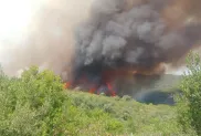 الصورة: الحماية المدنية (فيسبوك)
