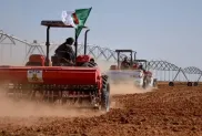 الصورة: م.ح