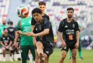 الصورة: "الفاف".