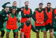 المنتخب الوطني، الصورة: "الفاف"