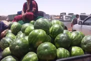 الصورة: ح.م
