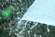 الصورة: م.ح