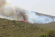 الصورة: الحماية المدنية (فيسبوك)