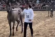 ح.م