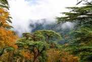 الصورة: ح.م