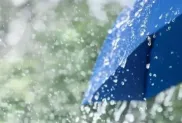 الصورة: م.ح