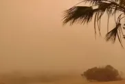 الصورة: ح. م