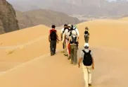 ح.م