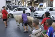 الصورة: م.ح
