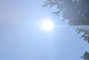 ح.م