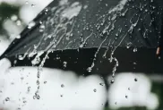 الصورة: م.ح