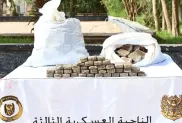 الصورة: وزارة الدفاع الوطني.