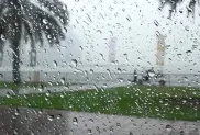 ح.م