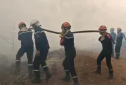 الصورة: الحماية المدنية