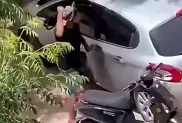 ح.م