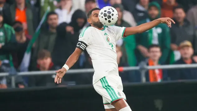 الصورة: "الفاف"