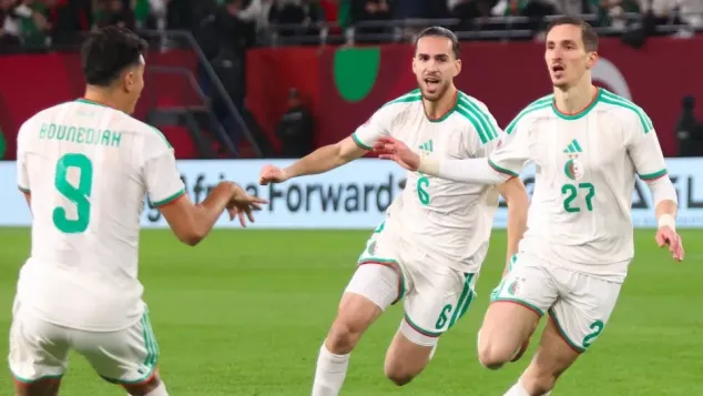 الصورة: "الفاف"