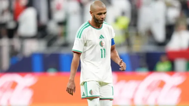 الصورة: "الفاف"