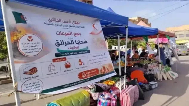الصورة: م.ح