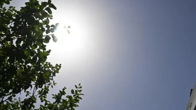 ح.م