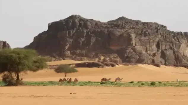 الصورة: الإذاعة الجزائرية