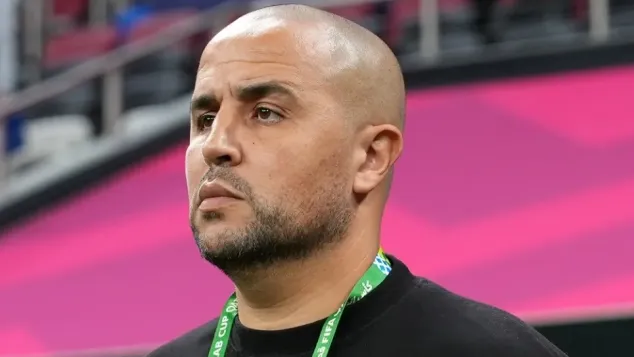 الصورة: "الفاف"