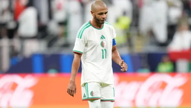 الصورة: "الفاف"