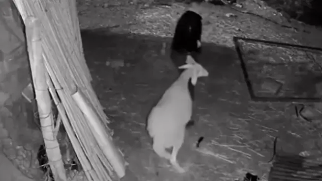 صورة: أرشيف