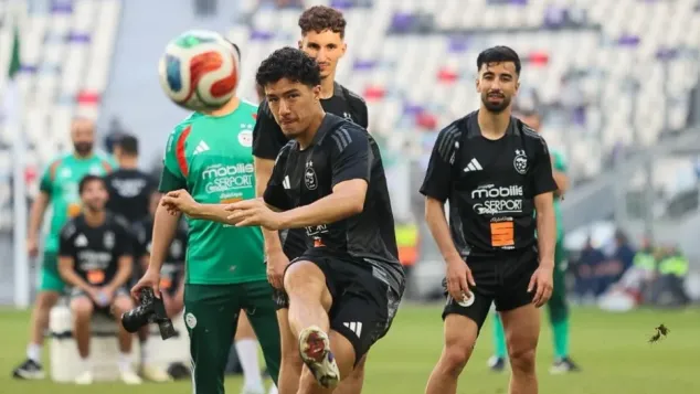 الصورة: "الفاف".