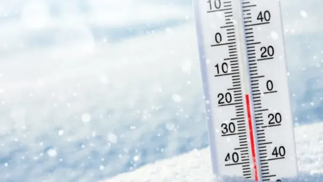 الصورة : ح.م