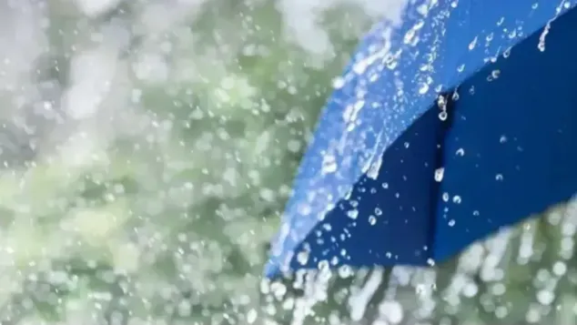 الصورة: م.ح