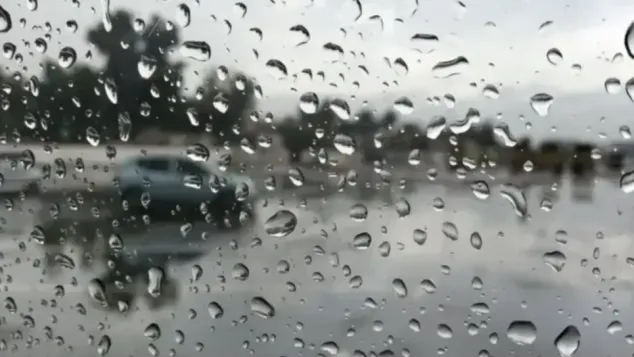 الصورة: م.ح
