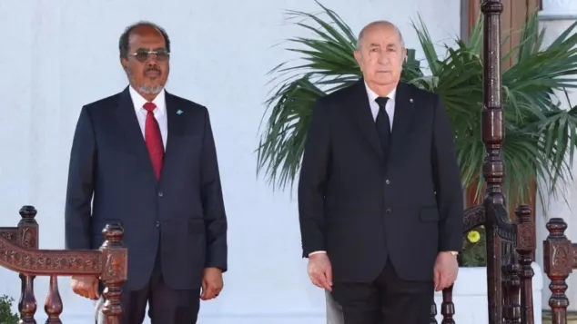 صورة: استقبال رئيس الجمهورية لنظيره الصومالي خلال زيارة الأخير للجزائر الشهر الماضي.