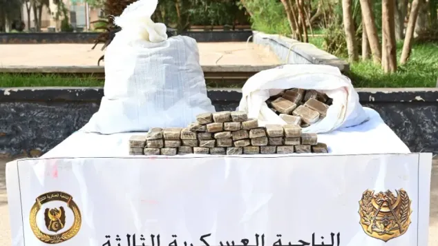 الصورة: وزارة الدفاع الوطني.