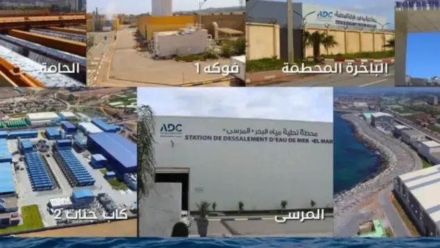 الصورة: التلفزيون العمومي