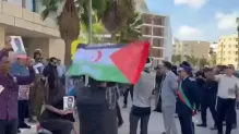ح.م