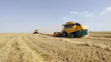 الصورة: وزارة الفلاحة