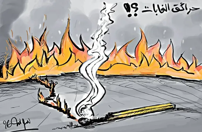 حرائق الغابات