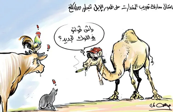 إفشال محاولة تهريب المخدرات على ظهر الإبل