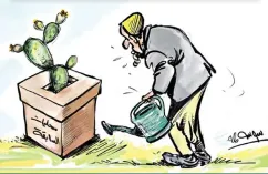 محليات السابقة