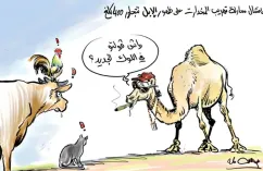 إفشال محاولة تهريب المخدرات على ظهر الإبل