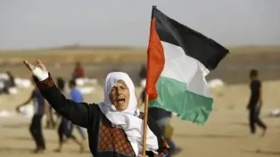 الصورة: ح. م