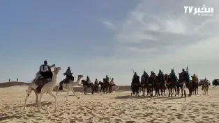 ناقة وادي سوف .. عزيزة أهلها وثاني ثروة لهم بعد النخيل